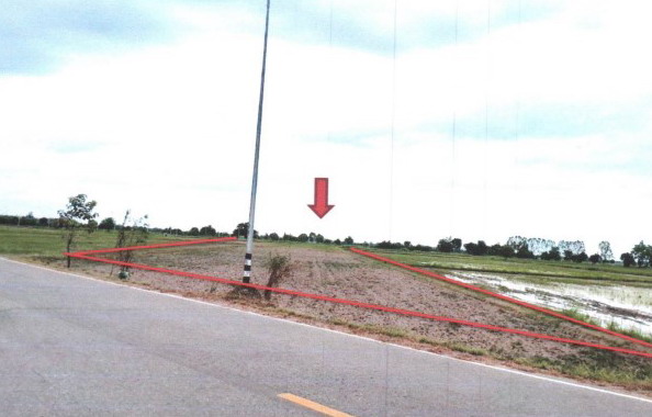 รูปที่ดินว่างเปล่า ท้ายน้ำ โพทะเล พิจิตร