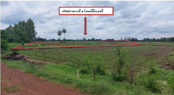รูปที่ดินว่างเปล่า วังงิ้ว ดงเจริญ พิจิตร