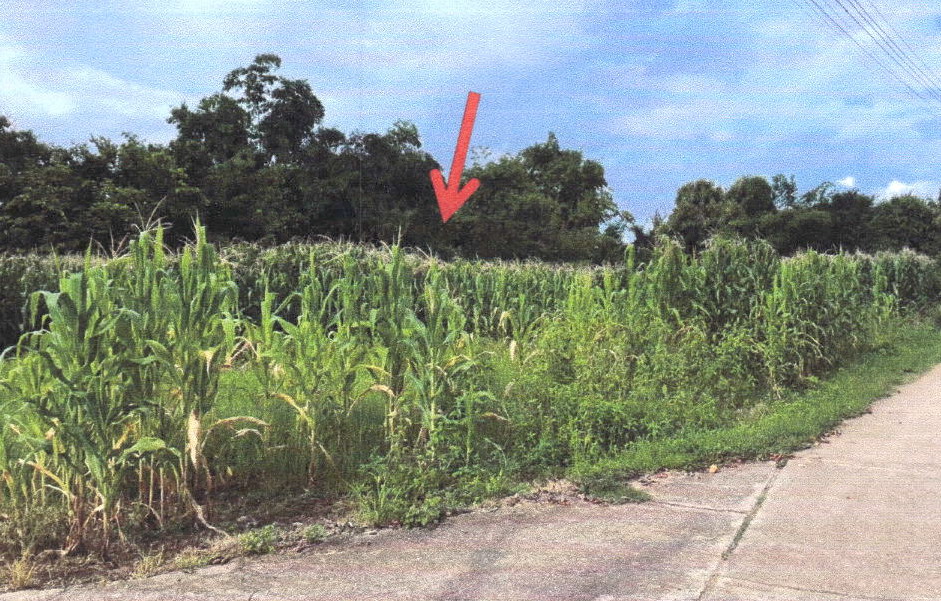 รูปที่ดินว่างเปล่า ห้วยหม้าย สอง แพร่