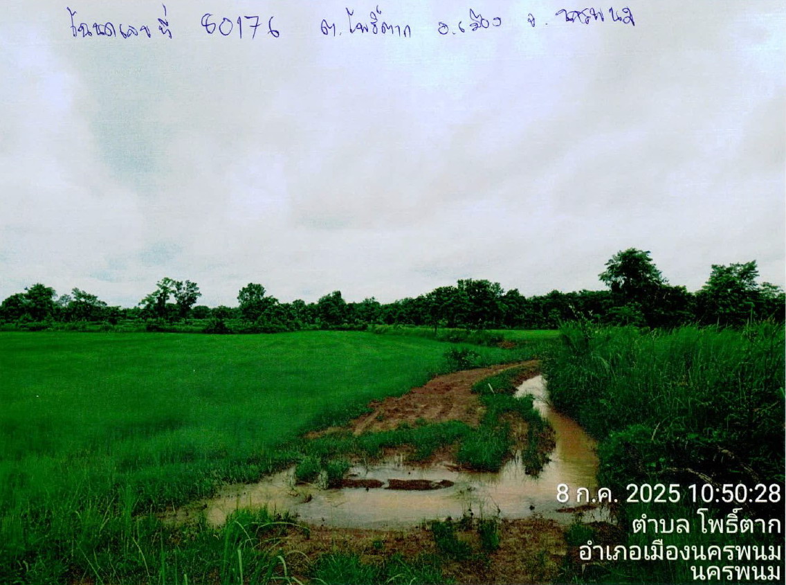 รูปที่ดินว่างเปล่า โพธิ์ตาก เมืองนครพนม นครพนม