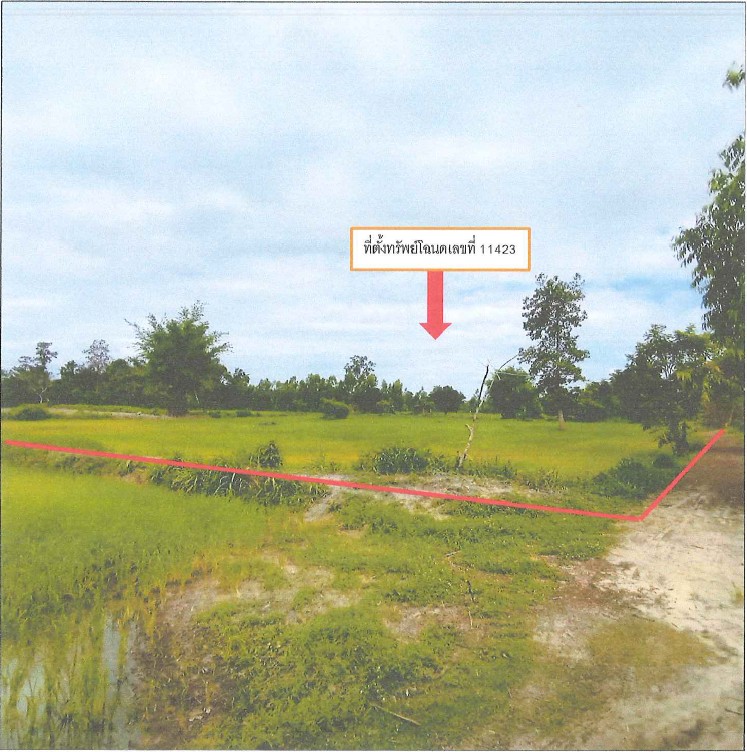 รูปที่ดินว่างเปล่า ทรายมูล ทรายมูล ยโสธร