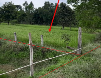 รูปที่ดินว่างเปล่า กันทรารมย์ กระสัง บุรีรัมย์