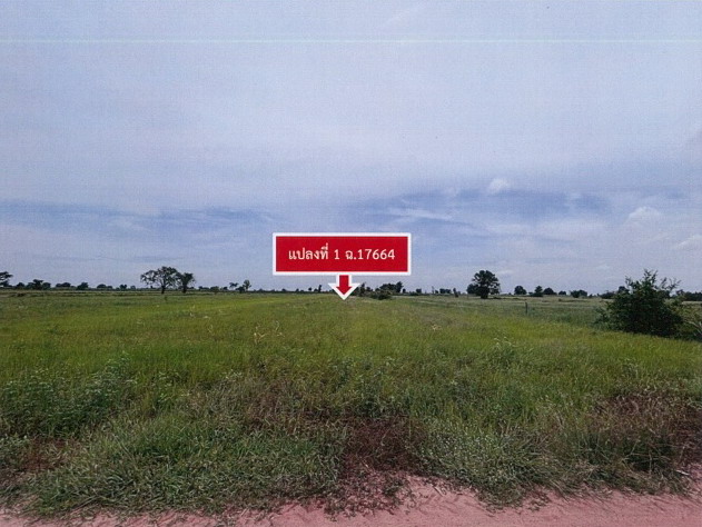 รูปที่ดินว่างเปล่า หนองสรวง ขามทะเลสอ นครราชสีมา