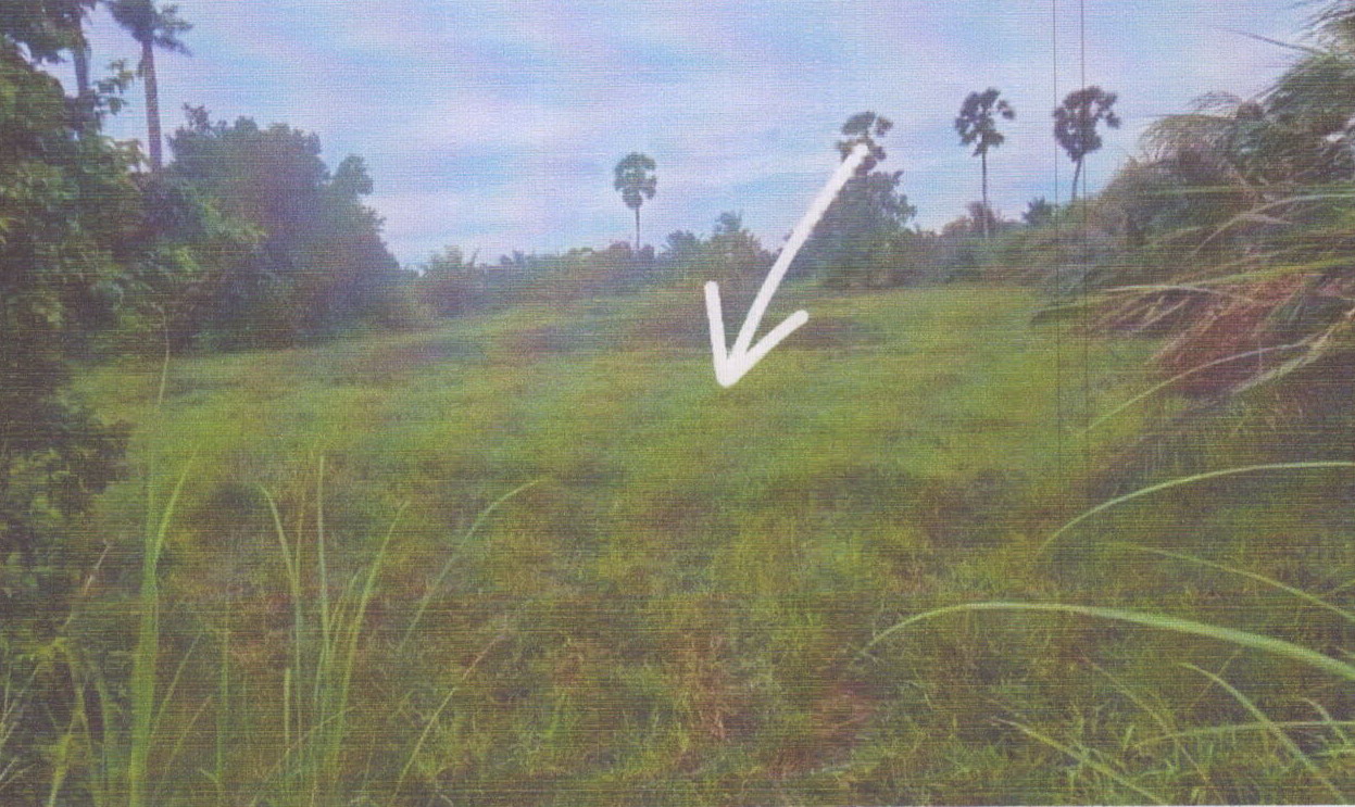 รูปที่ดินว่างเปล่า บ้านใหม่ ระโนด สงขลา