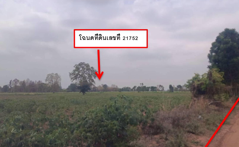 รูปที่ดินว่างเปล่า หนองโดน จัตุรัส ชัยภูมิ