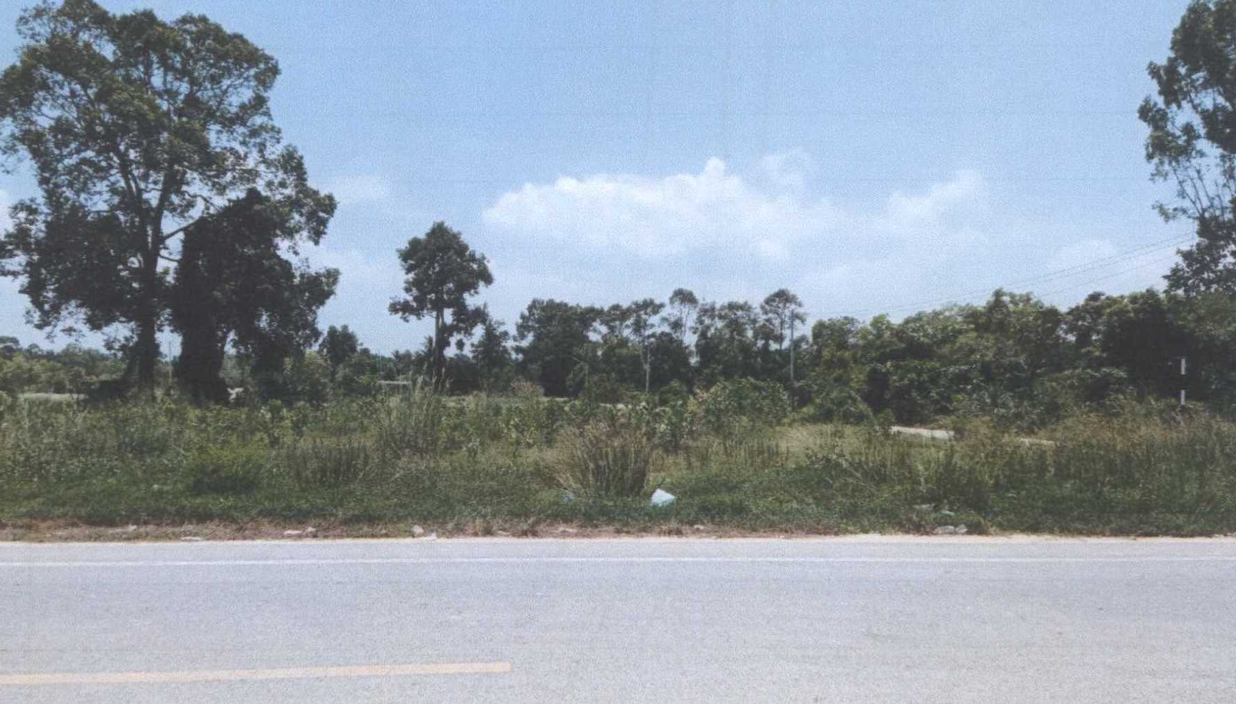 รูปที่ดินว่างเปล่า ตะลุโบะ เมืองปัตตานี ปัตตานี