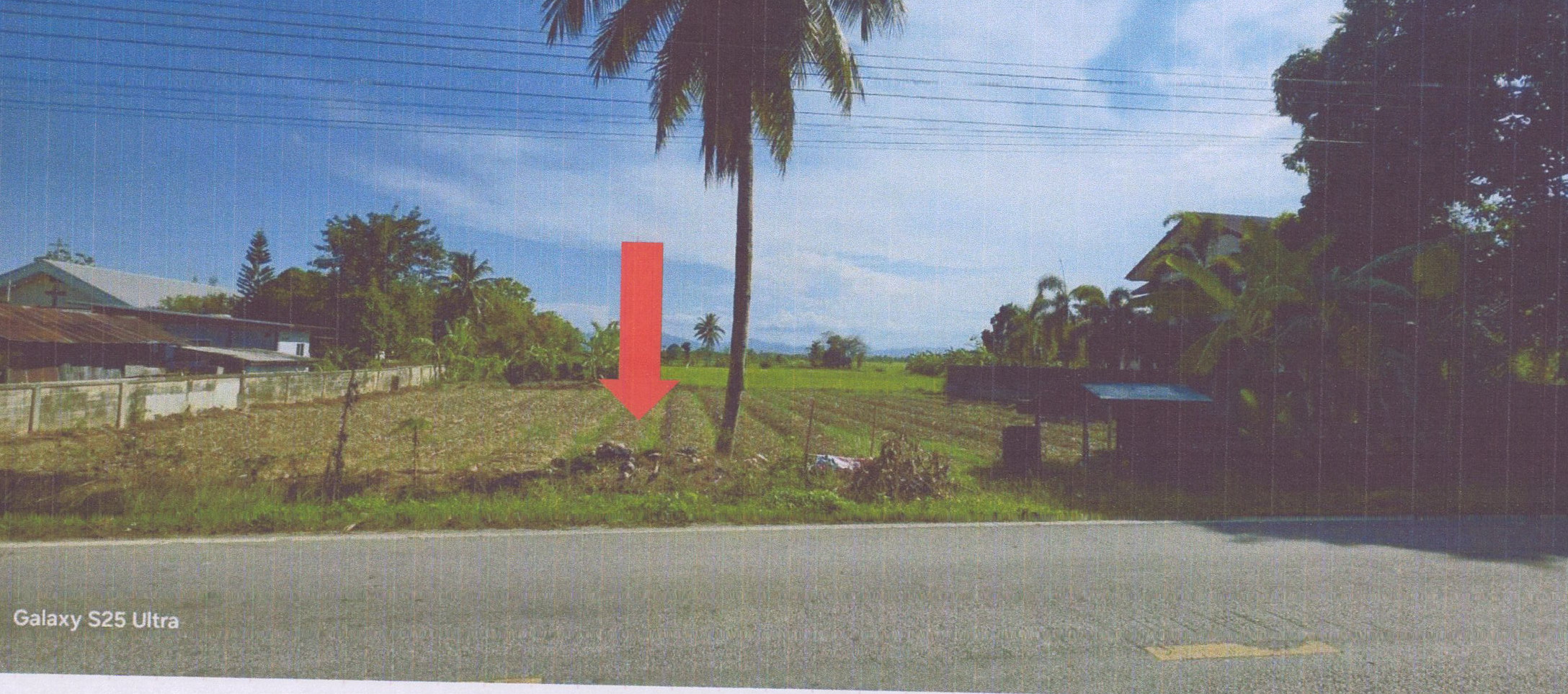 รูปที่ดินว่างเปล่า แม่ไร่ แม่จัน เชียงราย