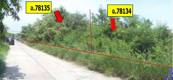 รูปที่ดินว่างเปล่า เมืองปัก ปักธงชัย นครราชสีมา