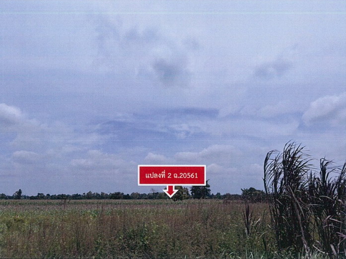 รูปที่ดินว่างเปล่า หนองสรวง ขามทะเลสอ นครราชสีมา