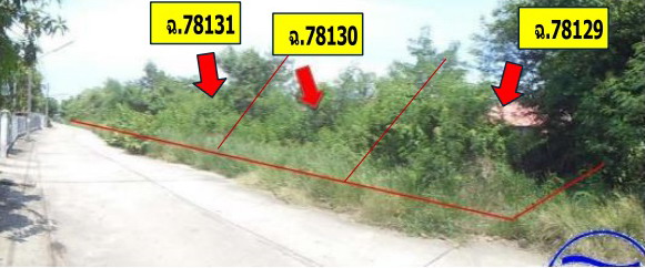 รูปที่ดินว่างเปล่า เมืองปัก ปักธงชัย นครราชสีมา