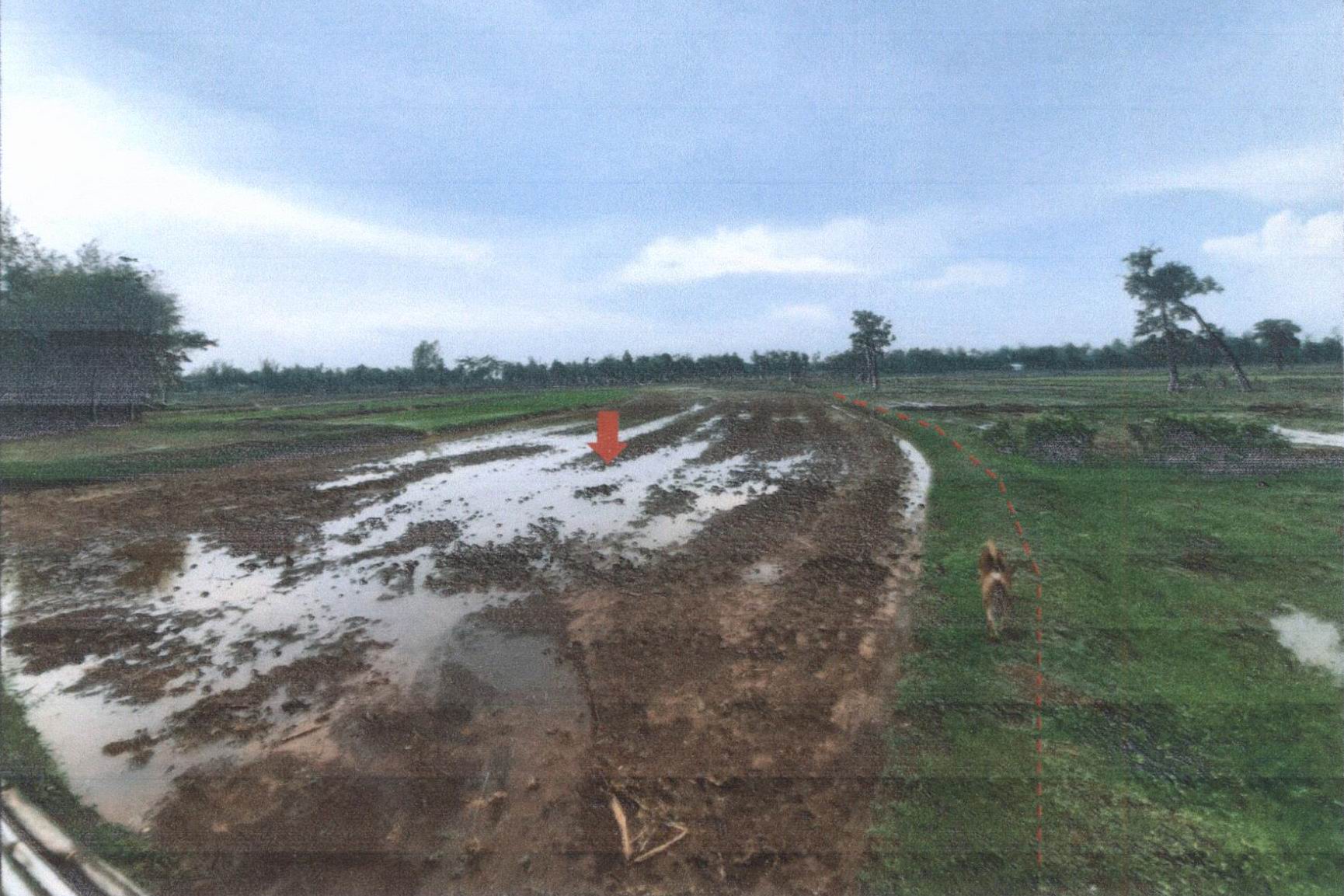 รูปที่ดินว่างเปล่า โคกสี วังยาง นครพนม