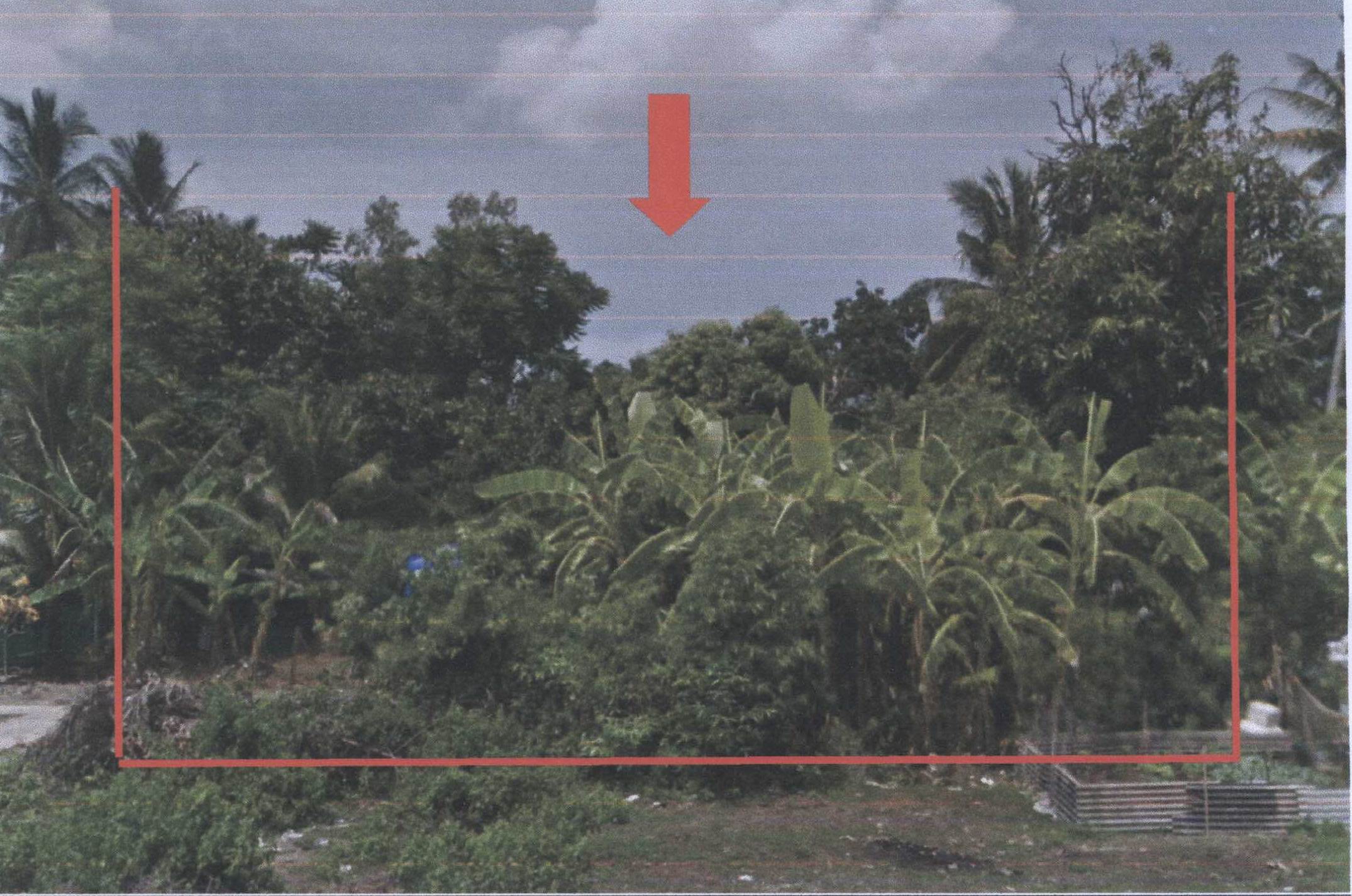 รูปที่ดินว่างเปล่า เจ๊ะบิลัง เมืองสตูล สตูล