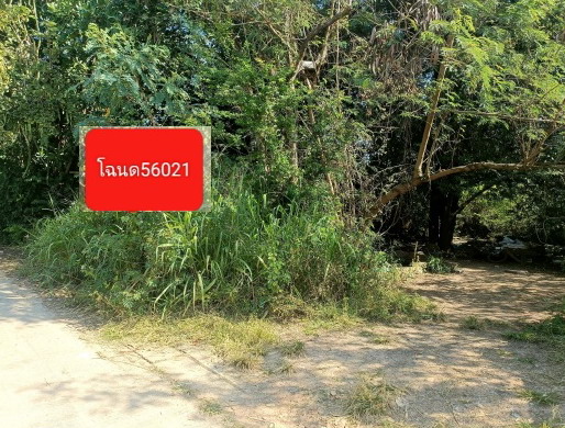 รูปที่ดินว่างเปล่า เมืองปัก ปักธงชัย นครราชสีมา