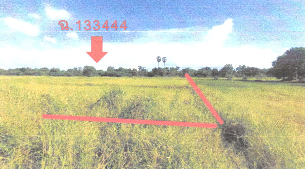 รูปที่ดินว่างเปล่า นาฝาย เมืองชัยภูมิ ชัยภูมิ