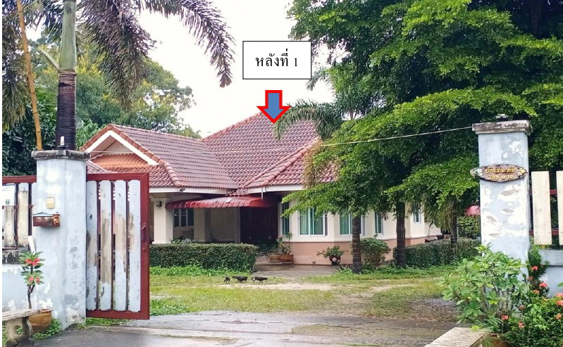 รูปที่ดินพร้อมสิ่งปลูกสร้าง ป่าซาง แม่จัน เชียงราย