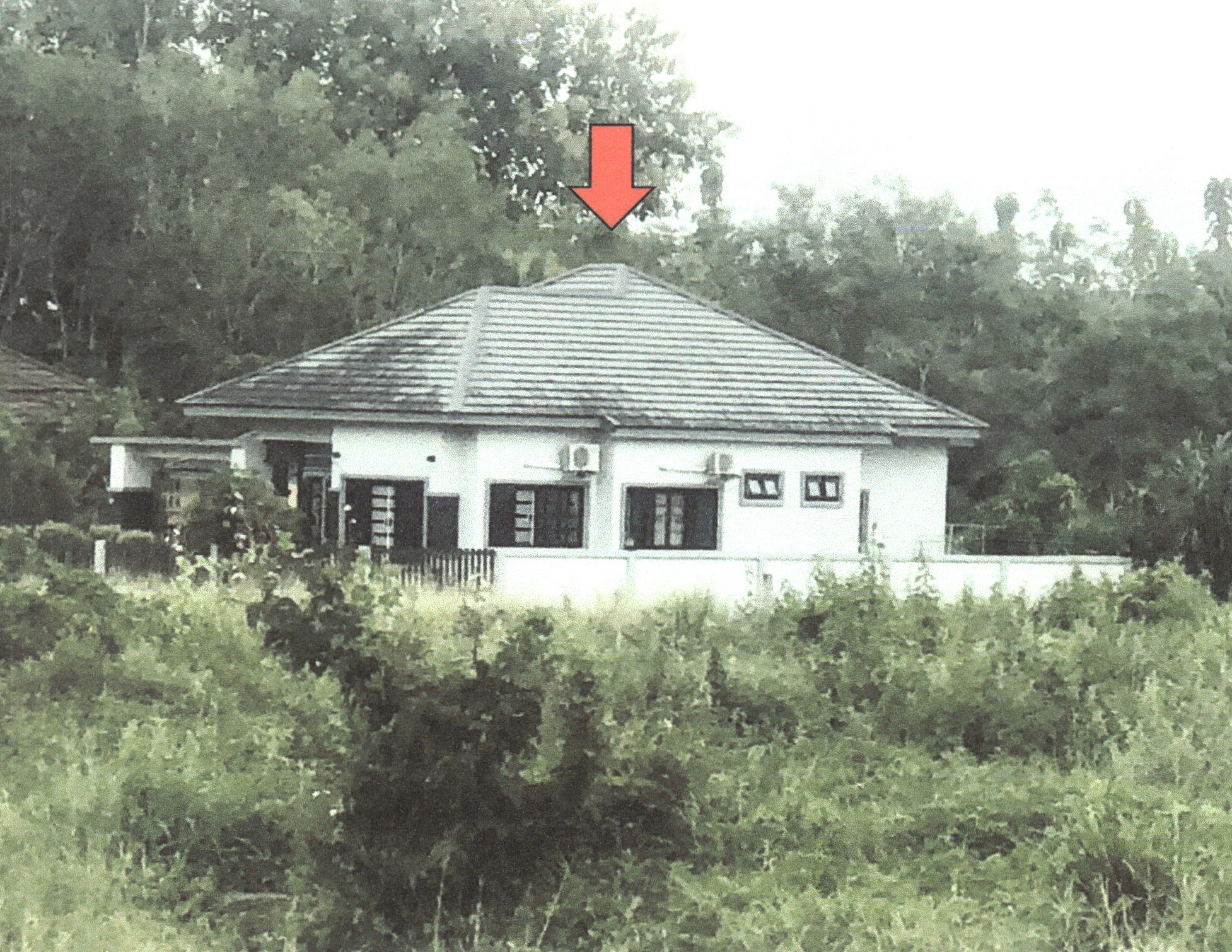 รูปที่ดินพร้อมสิ่งปลูกสร้าง ปาดังเบซาร์ สะเดา สงขลา