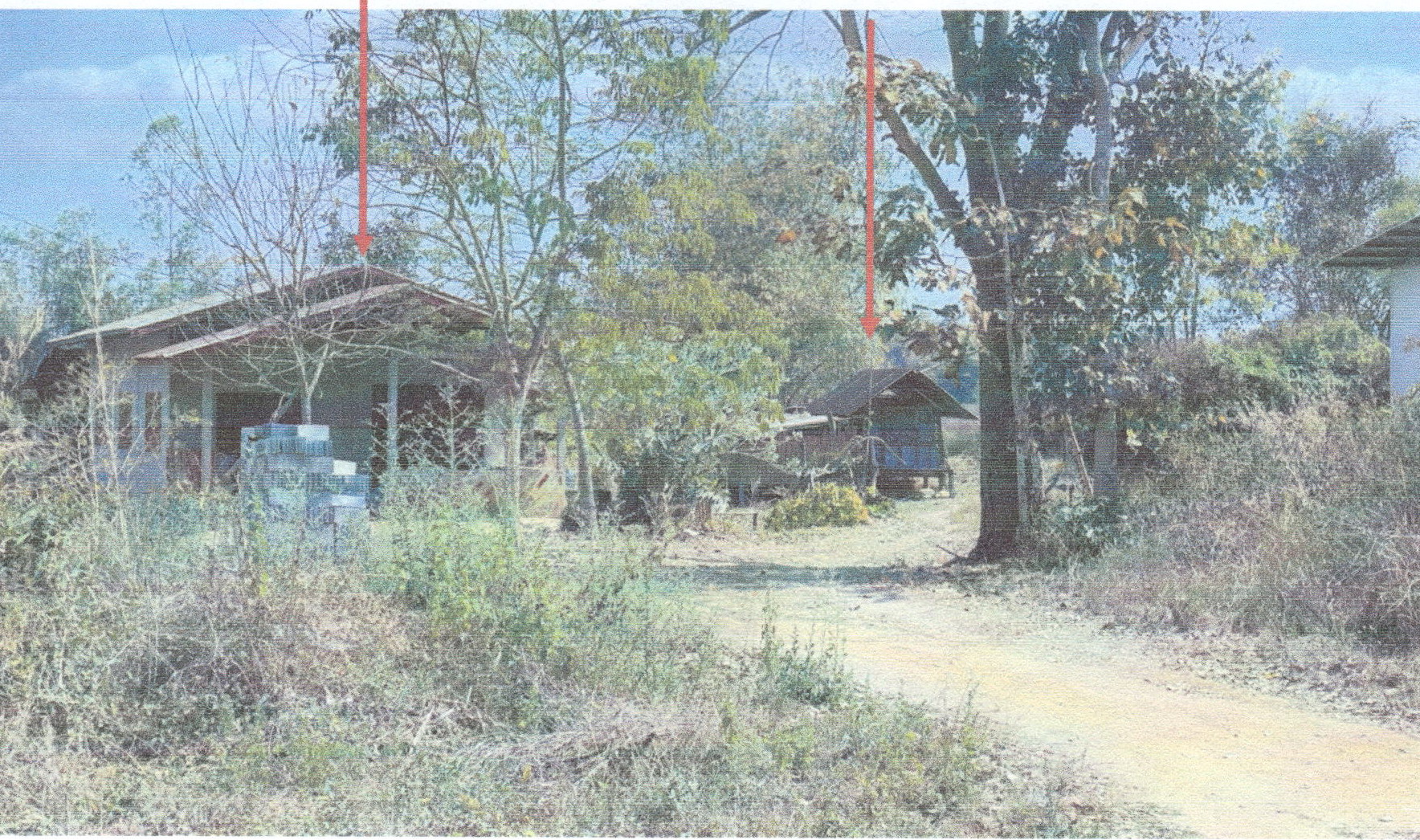 รูปที่ดินพร้อมสิ่งปลูกสร้าง เขาแก้ว เชียงคาน เลย