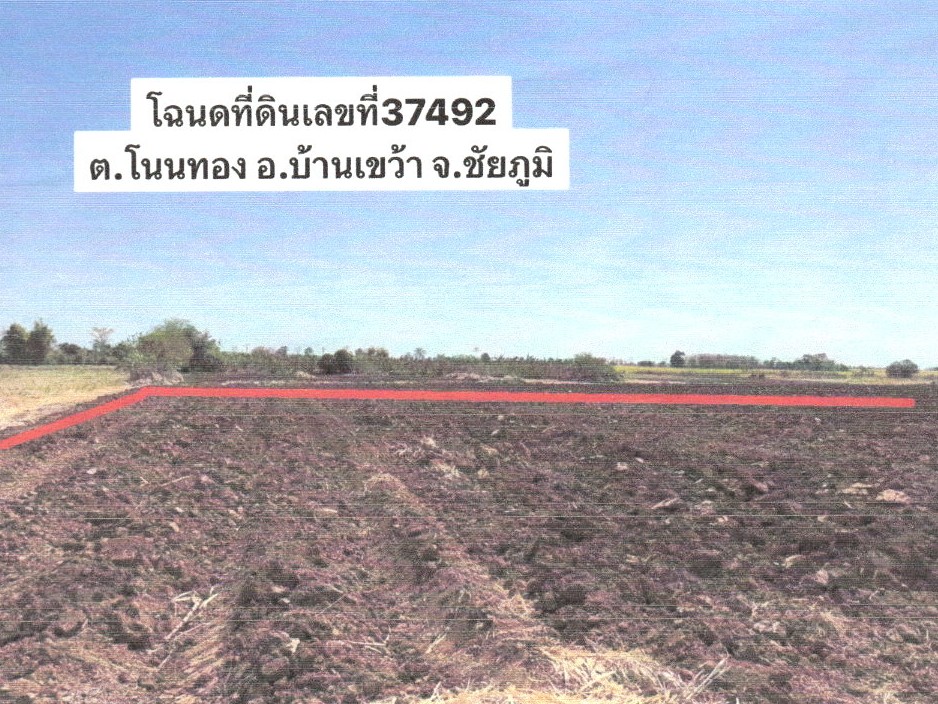 รูปที่ดินว่างเปล่า โนนแดง บ้านเขว้า ชัยภูมิ