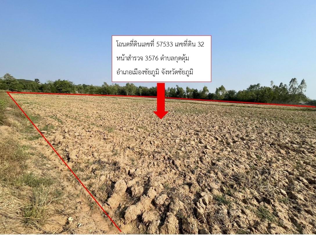 รูปที่ดินว่างเปล่า กุดตุ้ม เมืองชัยภูมิ ชัยภูมิ