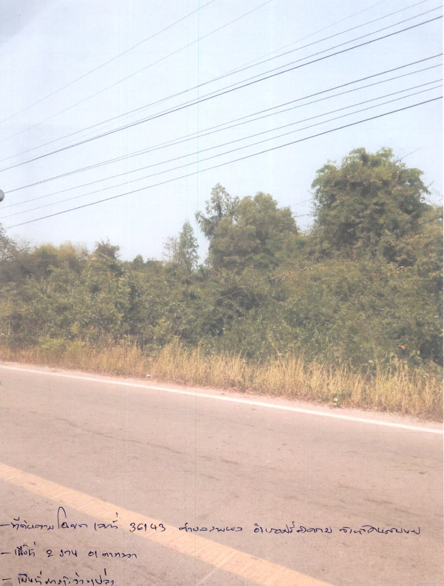 รูปที่ดินว่างเปล่า สามผง ศรีสงคราม นครพนม