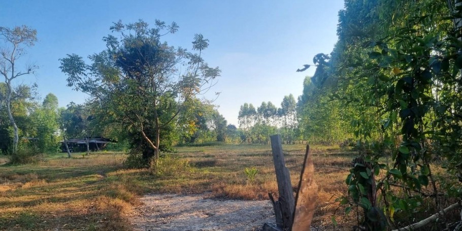 รูปที่ดินว่างเปล่า นาพู่ เพ็ญ อุดรธานี