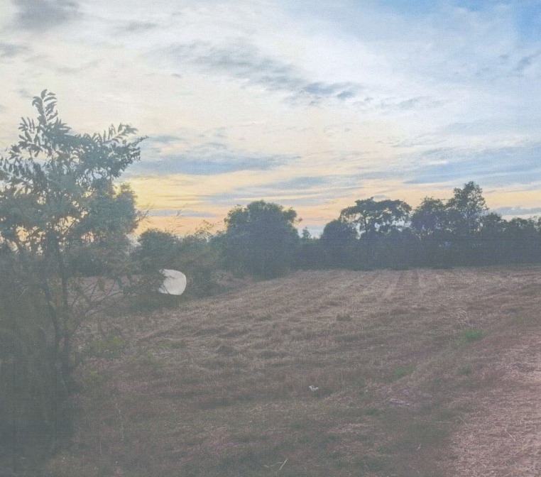 รูปที่ดินว่างเปล่า หนองผือ เมืองสรวง ร้อยเอ็ด