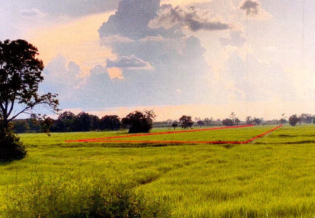 รูปที่ดินว่างเปล่า สมอ ปรางค์กู่ ศรีสะเกษ