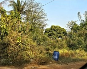รูปที่ดินว่างเปล่า ปลาปาก ปลาปาก นครพนม