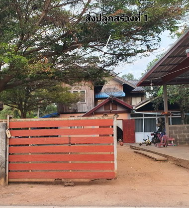 รูปที่ดินพร้อมสิ่งปลูกสร้าง ดงมะไฟ เมืองสกลนคร สกลนคร