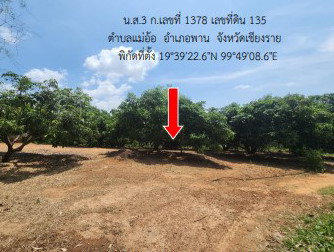 รูปที่ดินว่างเปล่า แม่อ้อ พาน เชียงราย
