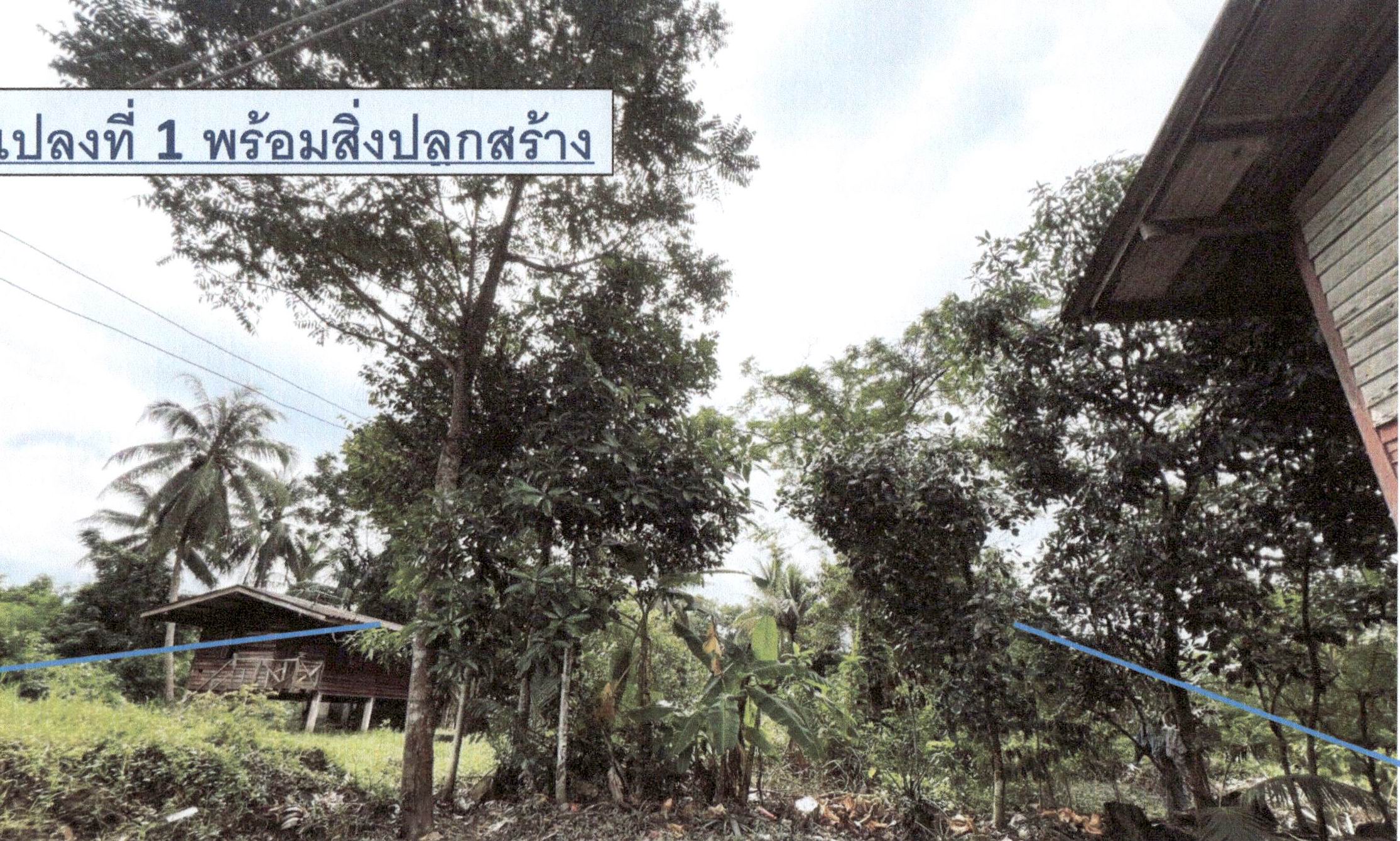 รูปที่ดินพร้อมสิ่งปลูกสร้าง ปรางหมู่ เมืองพัทลุง พัทลุง