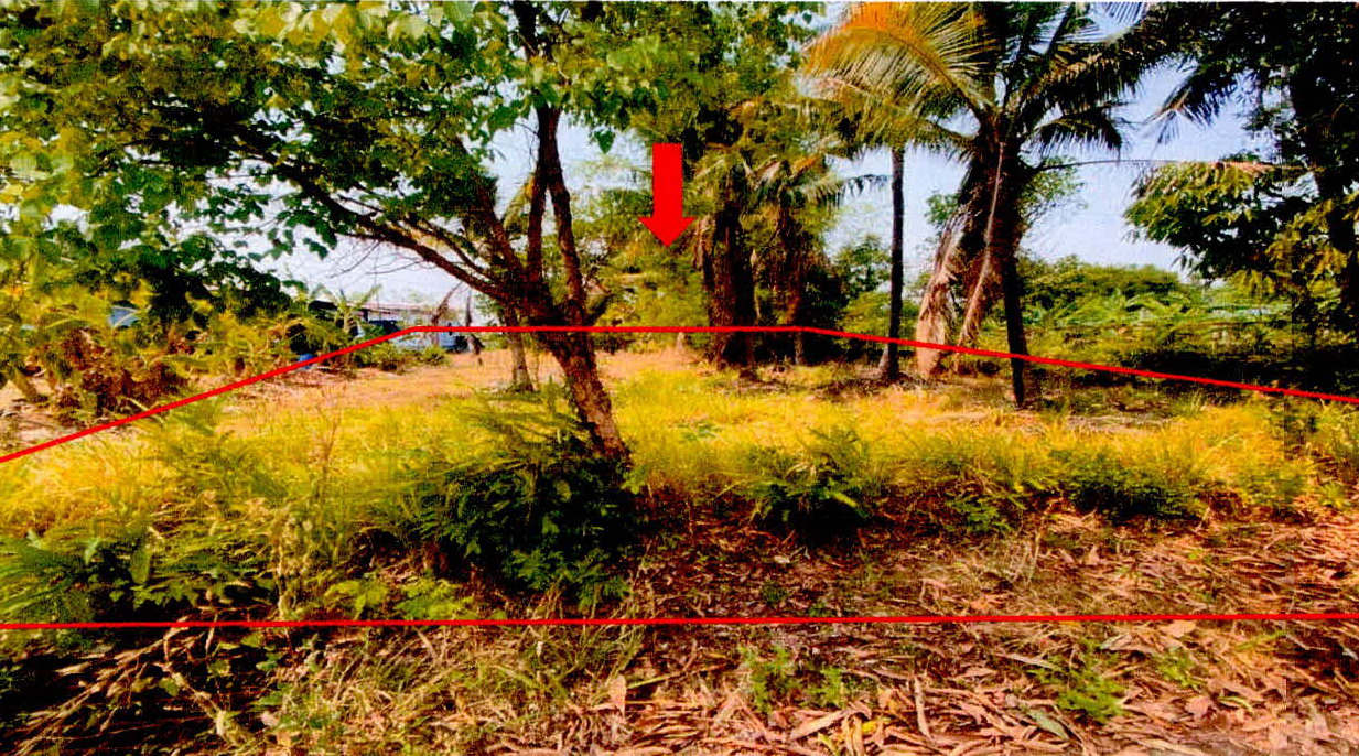 รูปที่ดินว่างเปล่า ยางชุมใหญ่ ยางชุมน้อย ศรีสะเกษ