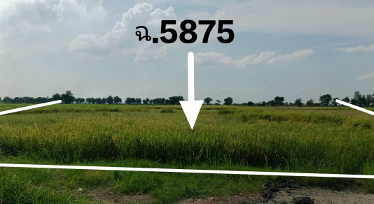 รูปที่ดินว่างเปล่า ทุ่งน้อย โพทะเล พิจิตร