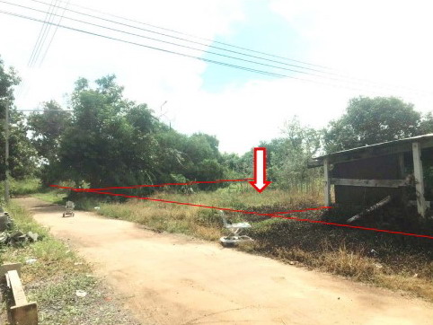 รูปที่ดินว่างเปล่า สมอแข เมืองพิษณุโลก พิษณุโลก