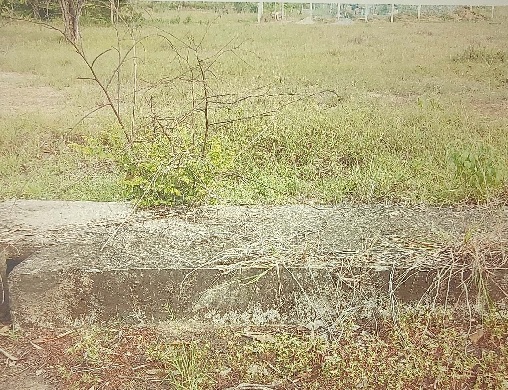 รูปที่ดินว่างเปล่า โนนท่อน เมืองขอนแก่น ขอนแก่น
