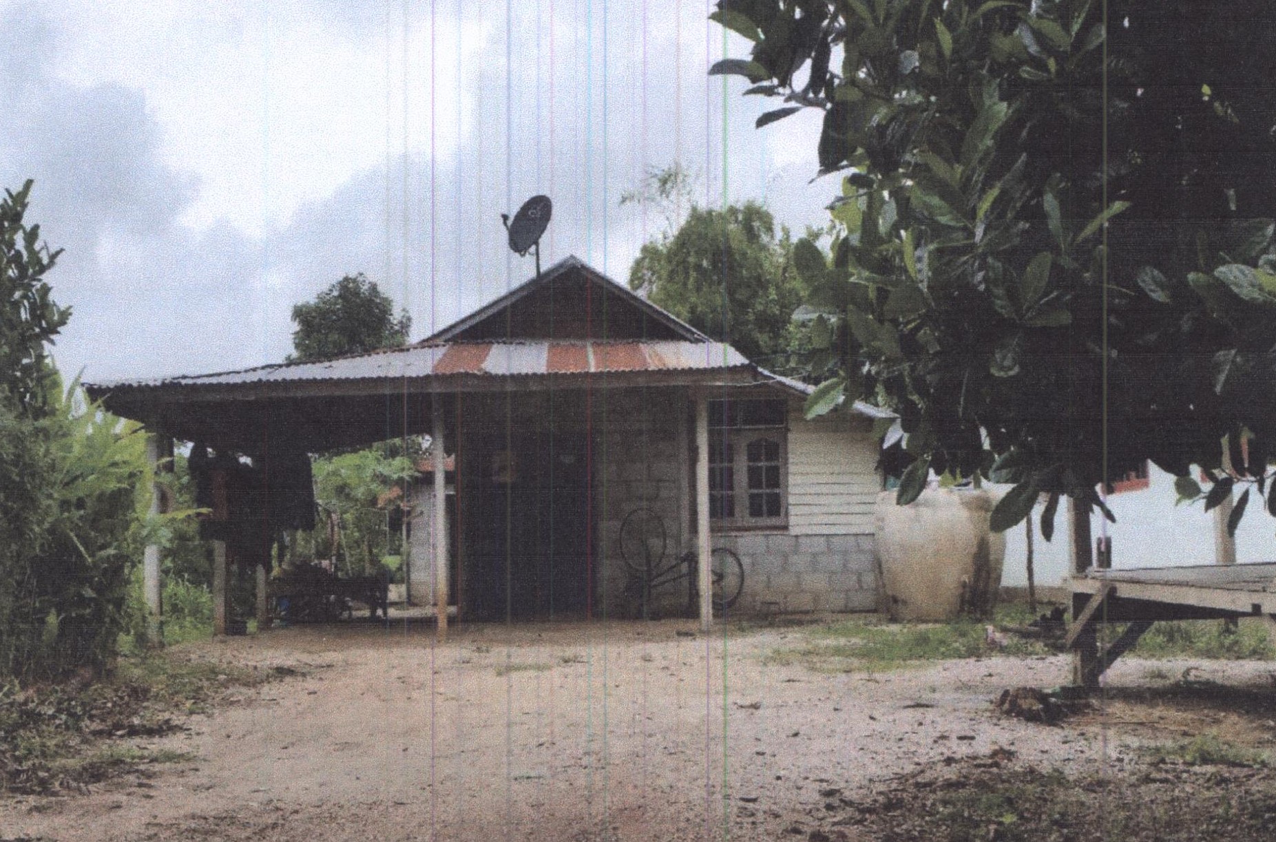 รูปที่ดินพร้อมสิ่งปลูกสร้าง หนองหญ้าปล้อง วังสะพุง เลย
