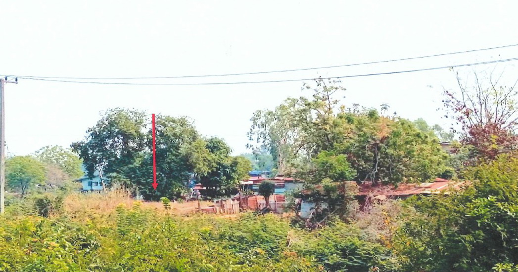 รูปที่ดินว่างเปล่า เนินมะกอก บางมูลนาก พิจิตร