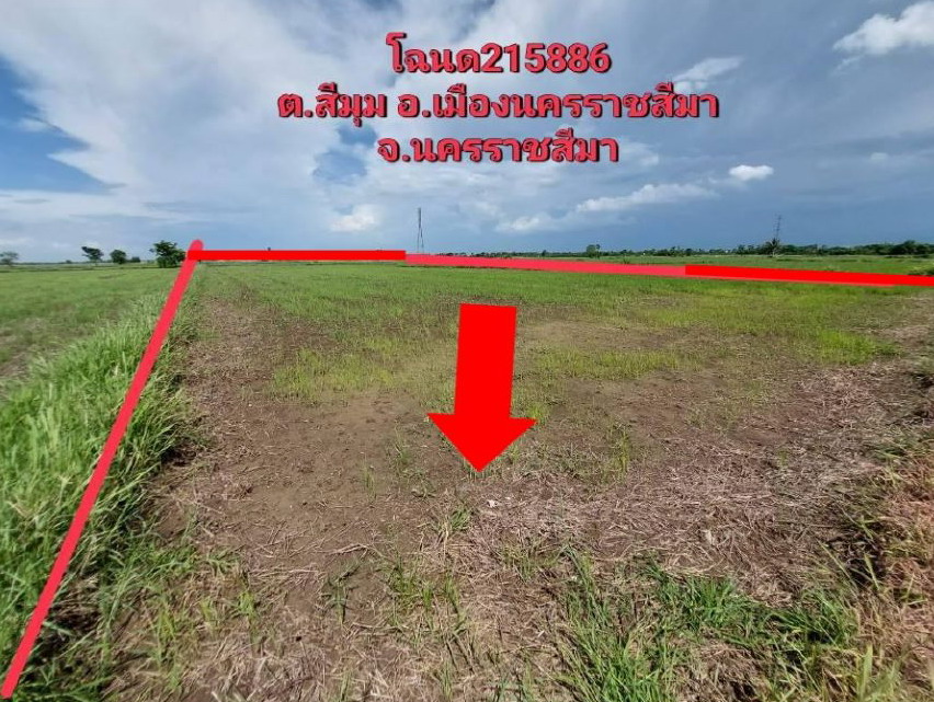 รูปที่ดินว่างเปล่า สีมุม เมืองนครราชสีมา นครราชสีมา