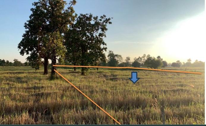 รูปที่ดินว่างเปล่า น้ำคำ ไทยเจริญ ยโสธร