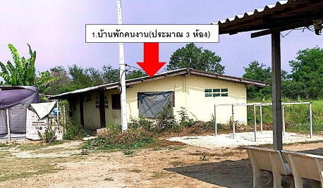 รูปที่ดินพร้อมสิ่งปลูกสร้าง หนองกบ บ้านโป่ง ราชบุรี