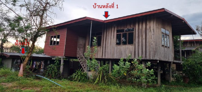 รูปที่ดินพร้อมสิ่งปลูกสร้าง ตองโขบ โคกศรีสุพรรณ สกลนคร