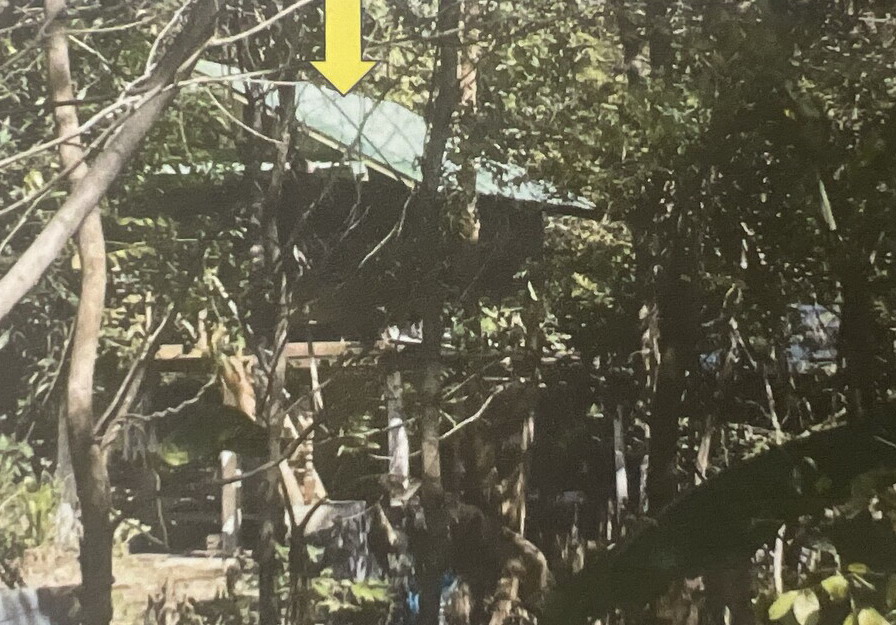 รูปที่ดินพร้อมสิ่งปลูกสร้าง หัวดง นาดูน มหาสารคาม