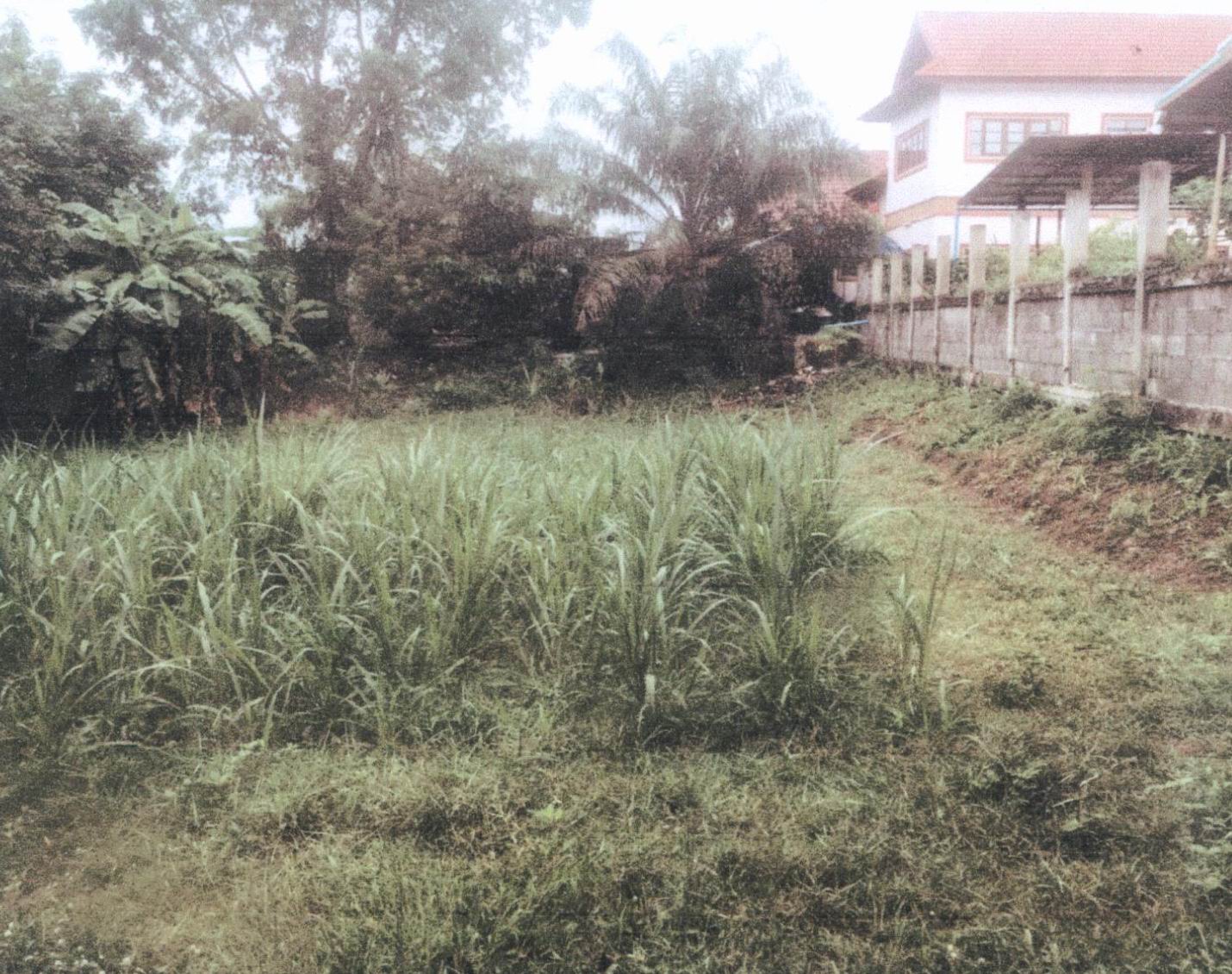 รูปที่ดินว่างเปล่า บ้านต้าย สว่างแดนดิน สกลนคร