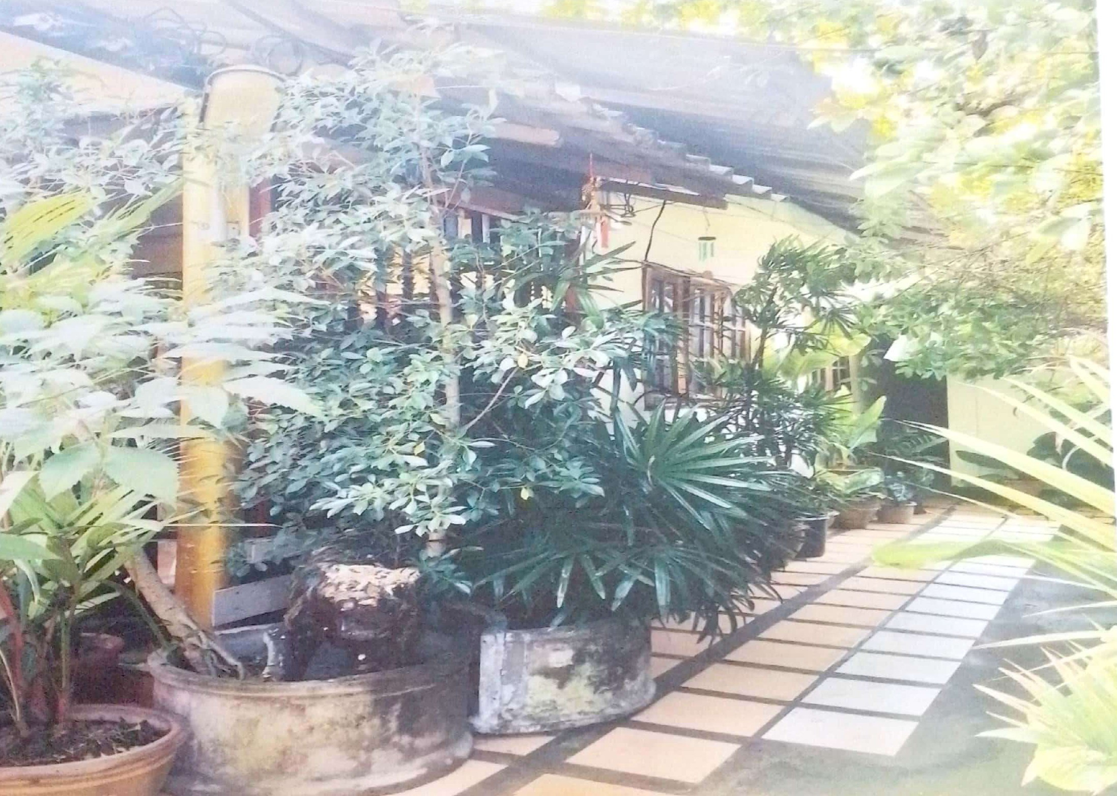 รูปที่ดินพร้อมสิ่งปลูกสร้าง หนองตอง หางดง เชียงใหม่