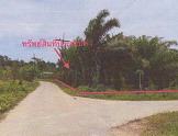 รูปที่ดินว่างเปล่า บางด้วน ปะเหลียน ตรัง