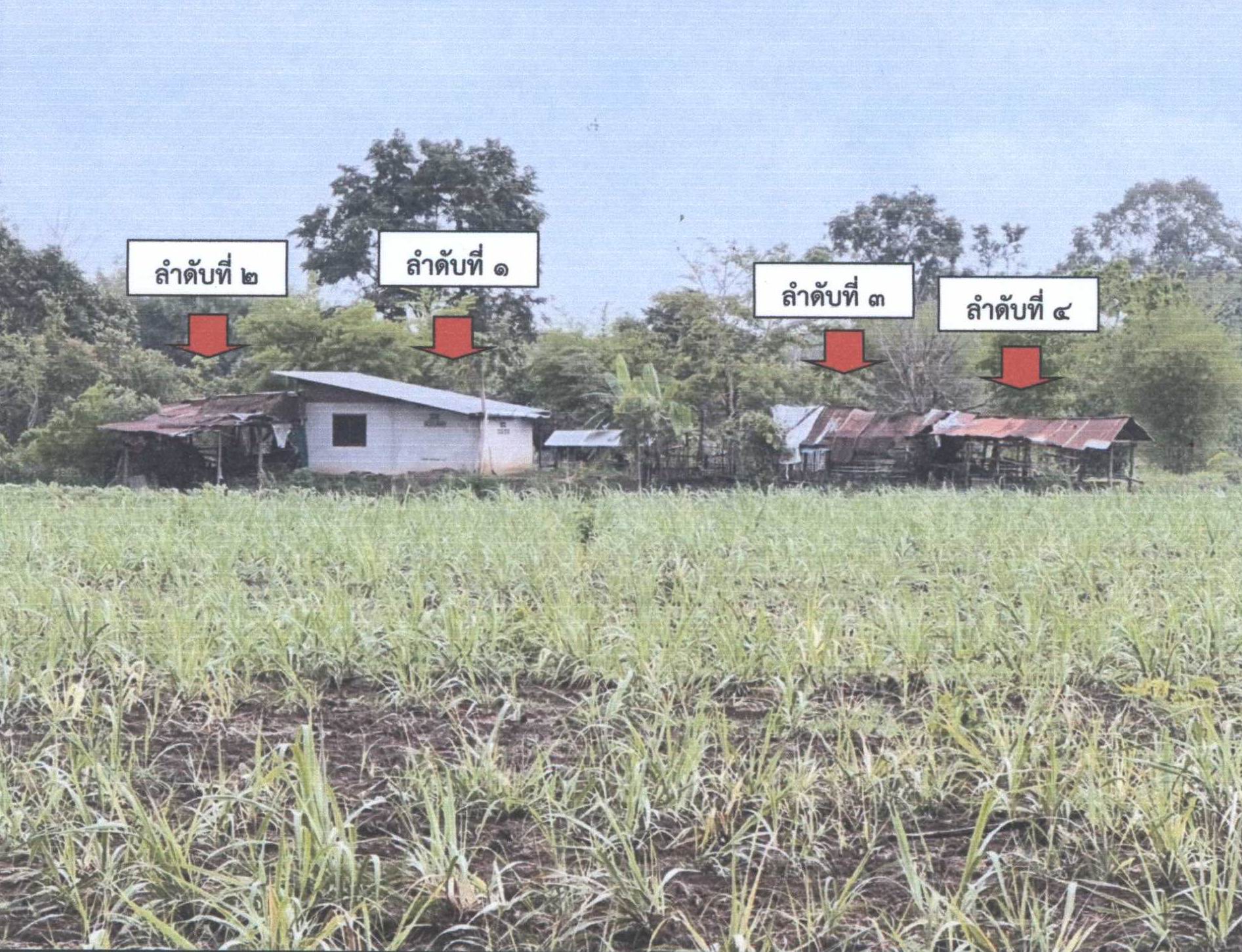 รูปที่ดินพร้อมสิ่งปลูกสร้าง มาย บ้านม่วง สกลนคร
