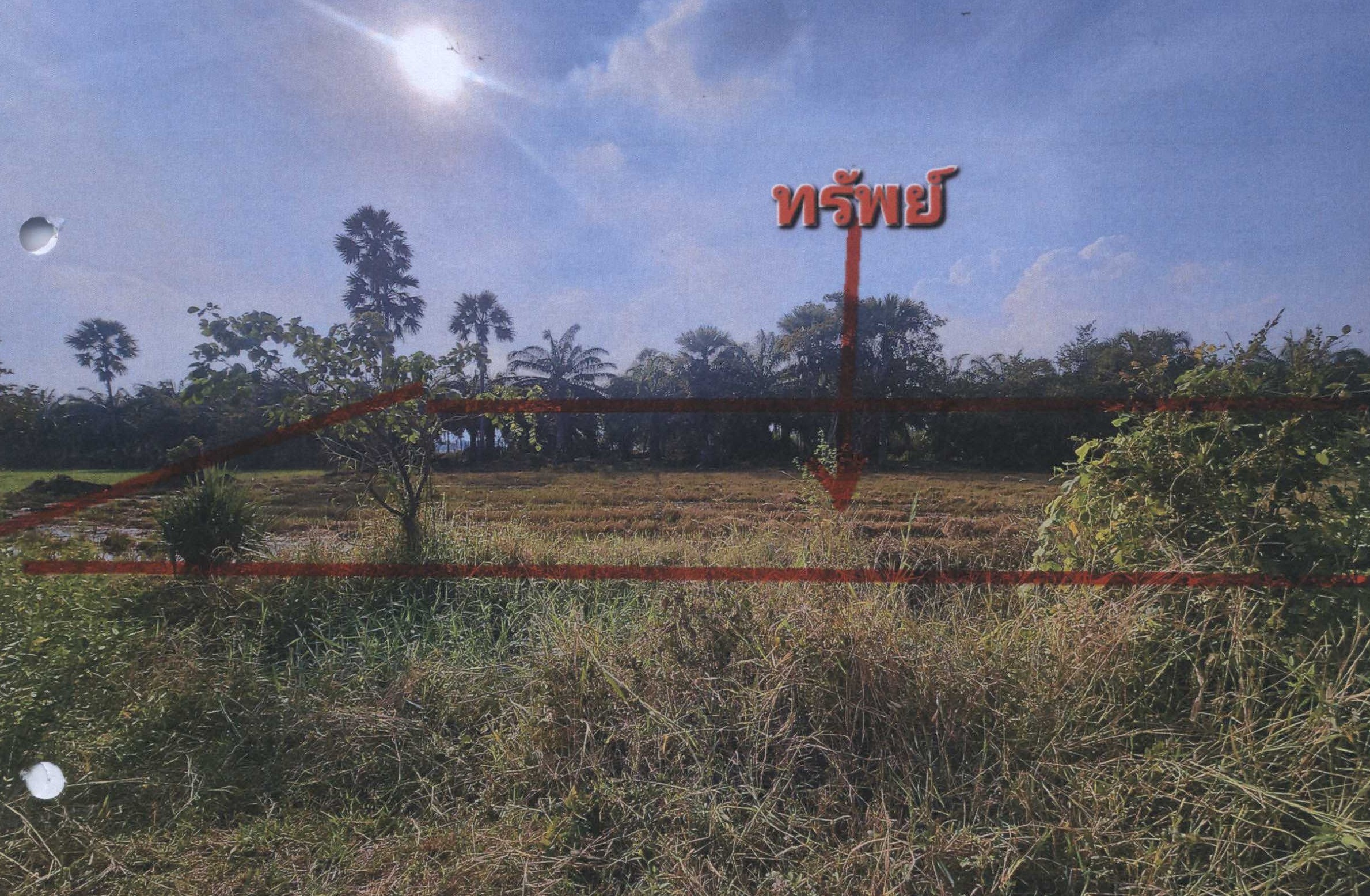 รูปที่ดินว่างเปล่า สะพานไกร บ้านลาด เพชรบุรี