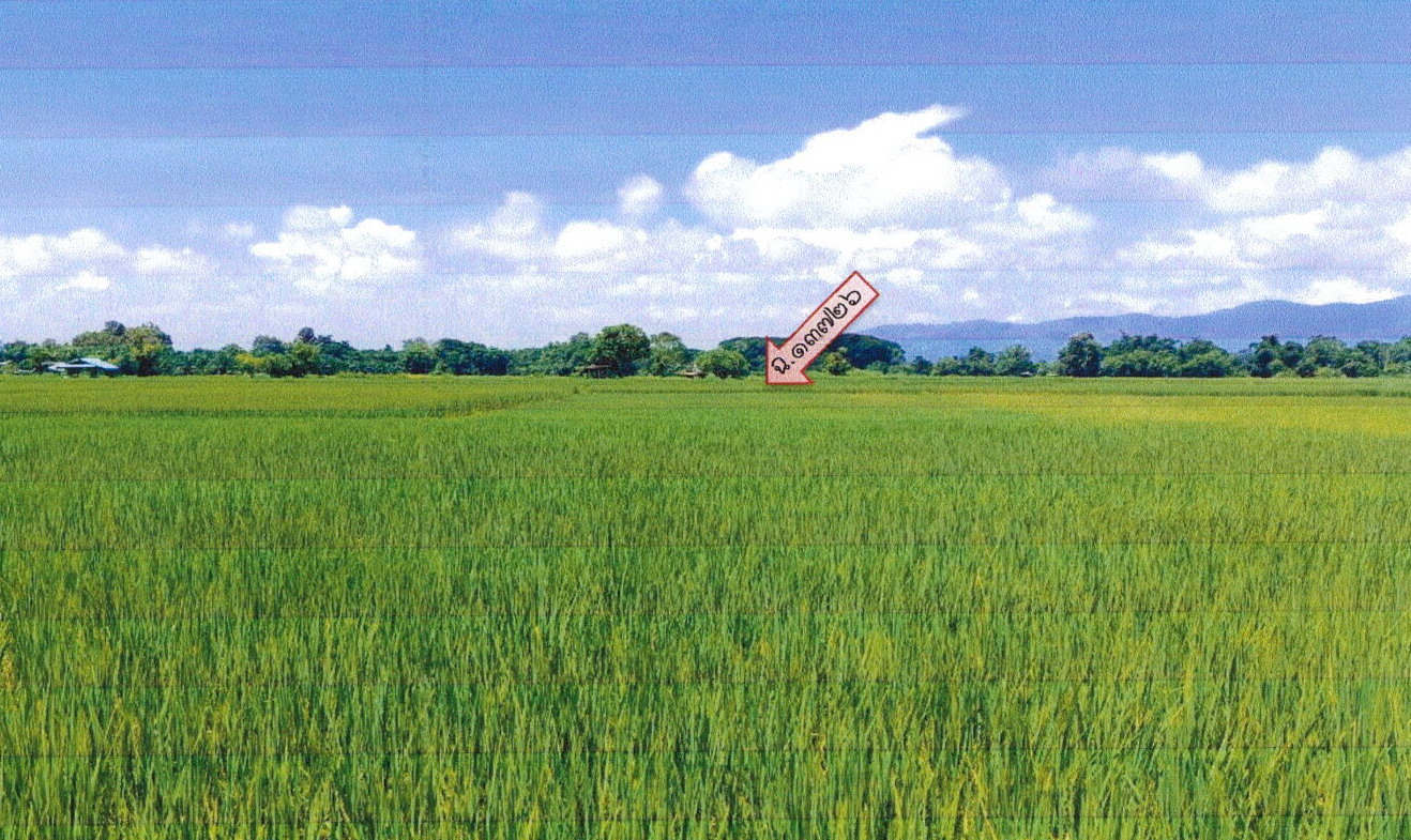 รูปที่ดินว่างเปล่า แม่เงิน เชียงแสน เชียงราย