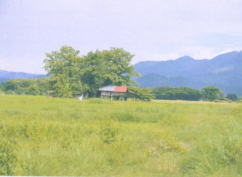 รูปที่ดินว่างเปล่า เหมืองหม้อ เมืองแพร่ แพร่