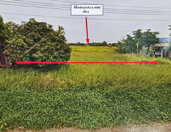 รูปที่ดินว่างเปล่า วังมะนาว ปากท่อ ราชบุรี
